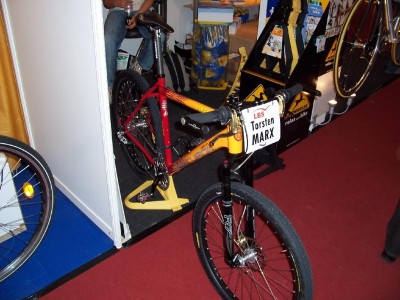 Alb Gold Bike.jpg