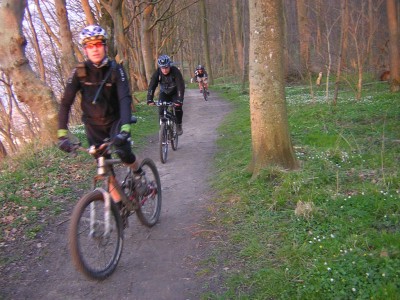 DSCN9709.jpg