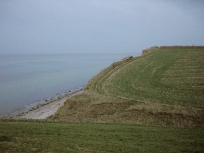 DSCN9717.jpg