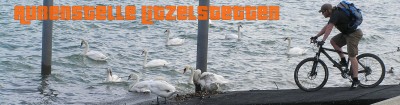 Außenstelle Litzelstetten.jpg