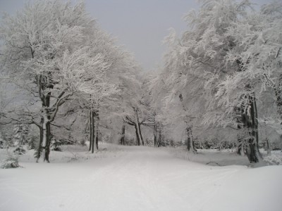 winter_kl.jpg