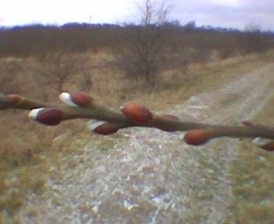 Bild432.jpg